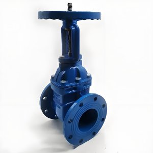 手動(dòng)閘閥Z41T-16 DN50/DN65廠家直銷，上海發(fā)